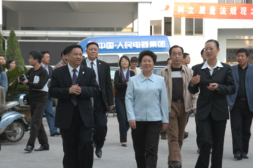 拼搏在线官网电器,拼搏在线官网电器集团,中国拼搏在线官网电器集团